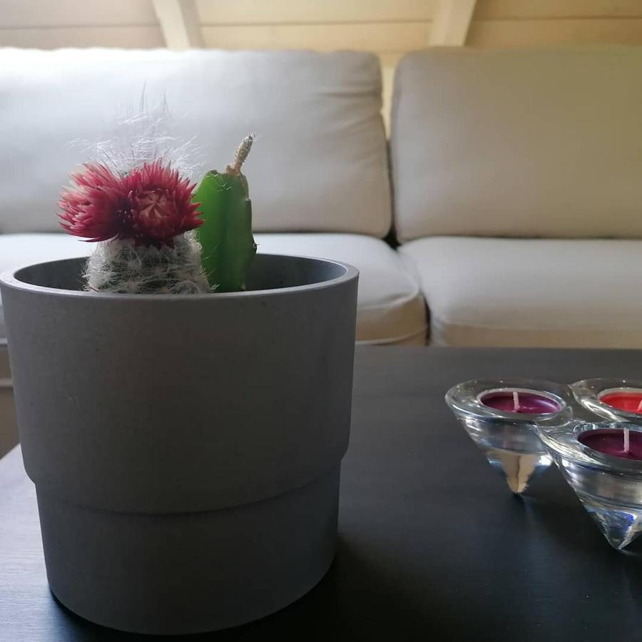 Argostoli Loft Aparthotel Kültér fotó