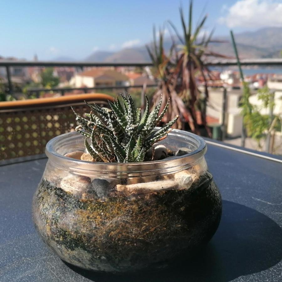 Argostoli Loft Aparthotel Kültér fotó
