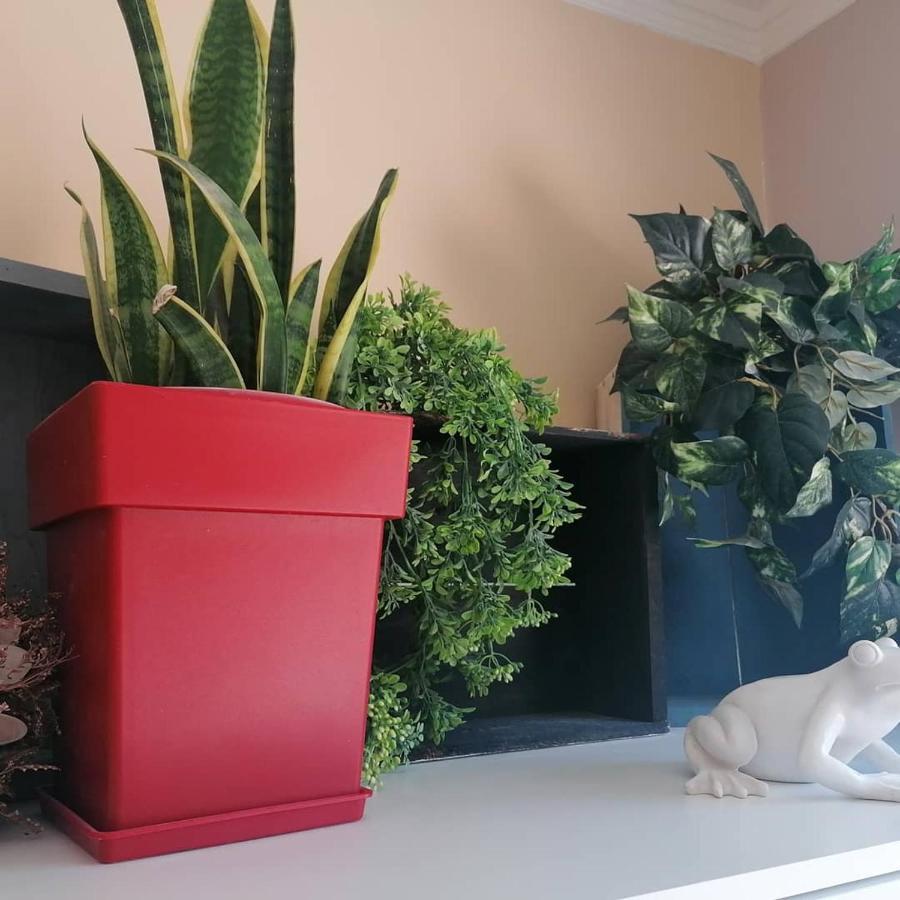 Argostoli Loft Aparthotel Kültér fotó